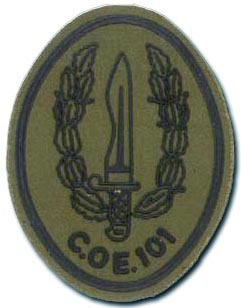 Busco antiguos integrantes del  GOE1  Ordenes militares, Especialmente a los chicos de la  13  40