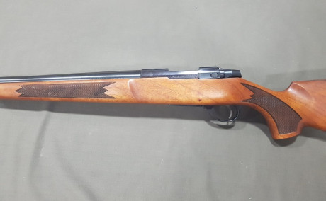 Vendo rifle Sako cal 6PPC usa, ultrapreciso por no darle uso por 700€.
Saludos. 11