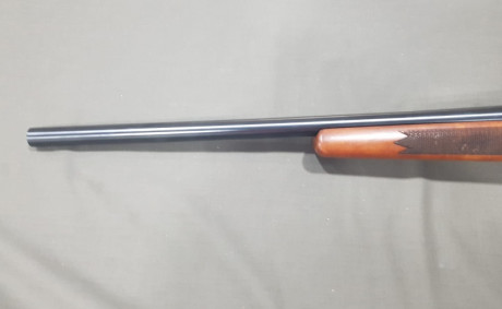 Vendo rifle Sako cal 6PPC usa, ultrapreciso por no darle uso por 700€.
Saludos. 10