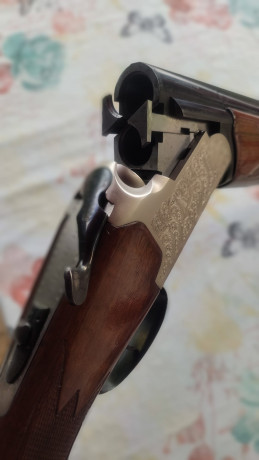 Un amigo vende:

Escopeta LANBER

Preciosa escopeta superpuesta
LANBER de calibre 12 grabada
y en muy 01