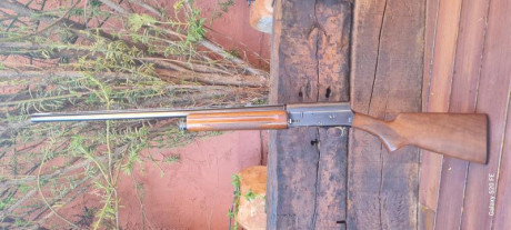 Buenos días.

Pongo en venta mi Browning FN auto 5 calibre 16/70, modelo "Sweet Sixteen"

La 02