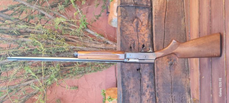 Buenos días.

Pongo en venta mi Browning FN auto 5 calibre 16/70, modelo "Sweet Sixteen"

La 01