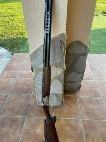 Tengo un amigo que vende la Beretta 686 E Gold Trap , por dejar la nasalidades, esta en perfecto estado 02