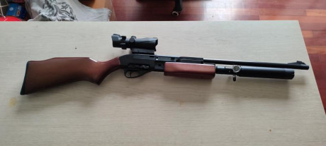 Hola a todos, estudiando hilos anteriores di con este modelo antiguo que puede ser pcpeado, esta carabina 50