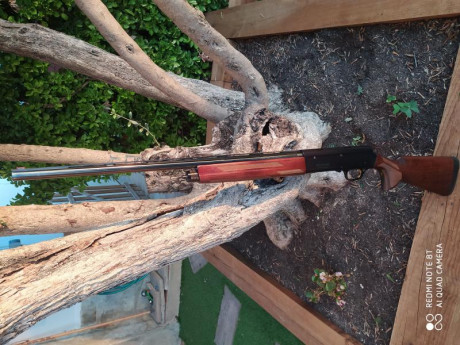 Buenas tardes

Pongo en venta mi Browning A5 Sweet Sixteen en calibre 16
Cañón de 66cm
Peso: 2,7Kg
Sistema 01