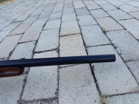 Prorsport , 4,5 completamente revisionada, y tuned, perfecta para la práctica de Field Target o Benchrest, 62