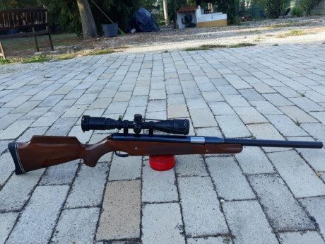 Prorsport , 4,5 completamente revisionada, y tuned, perfecta para la práctica de Field Target o Benchrest, 60