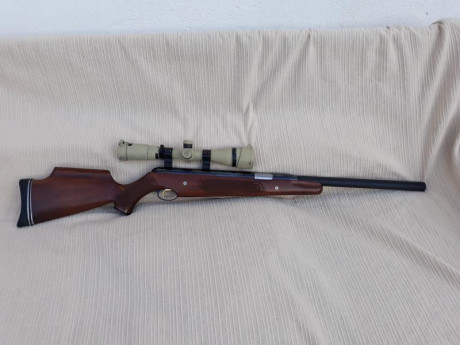 Prorsport , 4,5 completamente revisionada, y tuned, perfecta para la práctica de Field Target o Benchrest, 70