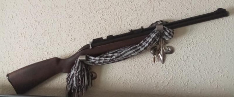 Hola
Pongo en venta una de mis Setra As 2000 de co2 en perfecto estado de uso y buen estado estético con 120