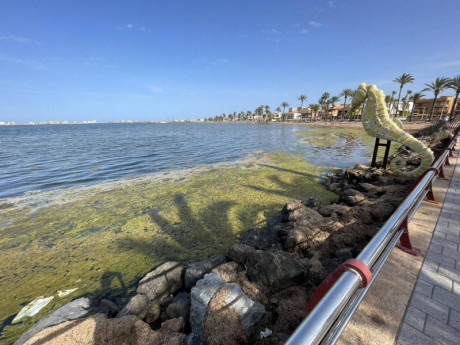 Buenos días, soy Leo, de la zona del Mar Menor.
No soy tirador, hace muchas décadas que no manejo ningún 10