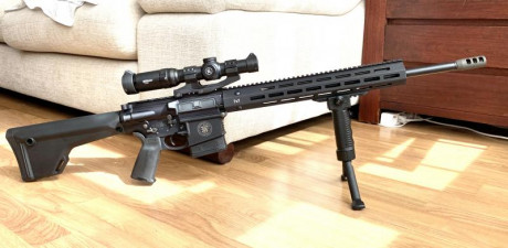 Vendo AR10  Smith@Wesson a estrenar en 6.5 Creedmoor 
3.350 rifle solo y si se desea visor Vortex con 02