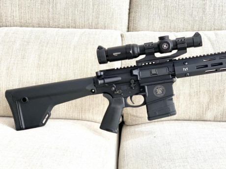 Vendo AR10  Smith@Wesson a estrenar en 6.5 Creedmoor 
3.350 rifle solo y si se desea visor Vortex con 01