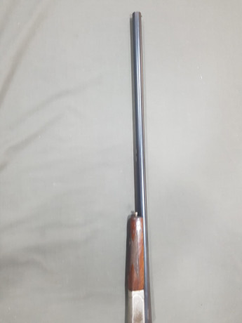 Vendo escopeta Norica (Beristain, Barcelona) 72cm monotiro cal 16 por no usar por 100€.
Saludos. 12