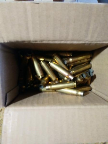 Hola, vendo 50 vainas Norma del calibre .308W con un tiro. Están en Madrid. El precio son 25 euros con 01