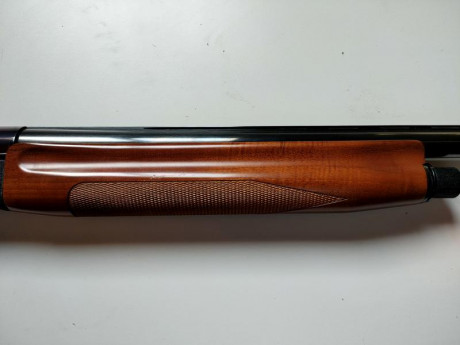 Cañón 65 cm. y 4 estrellas. Excelente estado. 605424418 . 350 euros.
 IMG20230405163949.jpg  IMG20230405163917.jpg 10
