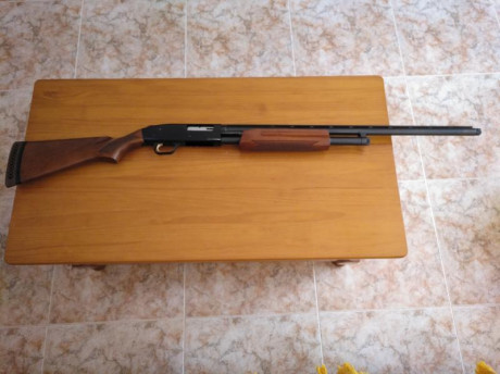 Vendo esta escopeta marca Sarrasqueta ( La Paloma ) del calibre 20, no tengo mucha información sobre ella 110
