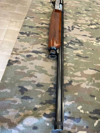 Hola a todos.

Pongo en venta esta escopeta Breda calibre 12.
escopeta repetidora con polichock exterior
En 00
