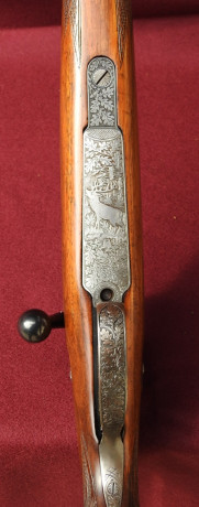Venta de Rifle Konstanza 8x57 JS
Rifle del
Año 57 y realizado por encargo a un armero, rifle con un cromo 81