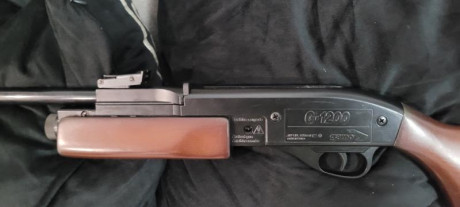 De mi coleccion gamo G1200 nueva para que la disfrutes reventando alguna lata que otra ...Precio 120 Euros 02