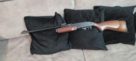 De mi coleccion gamo G1200 nueva para que la disfrutes reventando alguna lata que otra ...Precio 120 Euros 00