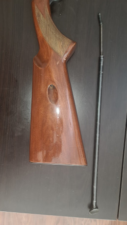 CARGADOR POR LA CULATA DE 9 CARTUCHO. CALIBRE 22 LR. CAÑON ROSCADO CON CUBREROSCA.RIEL PARA COLOCAR VISOR.ESTA 01