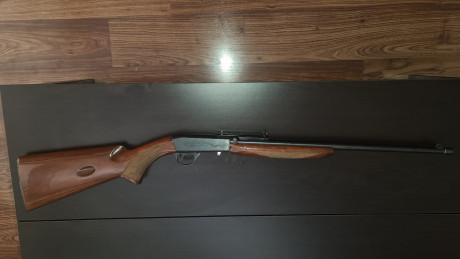 CARGADOR POR LA CULATA DE 9 CARTUCHO. CALIBRE 22 LR. CAÑON ROSCADO CON CUBREROSCA.RIEL PARA COLOCAR VISOR.ESTA 10