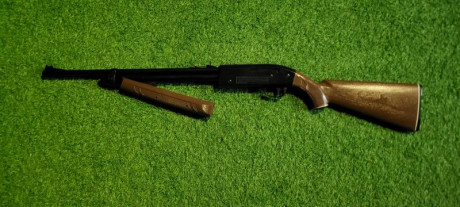 Vendo carabina de sobra conocida en calibre 4.5 ...70Euros mas enviooo . Ideal para entretenerse en casa 00