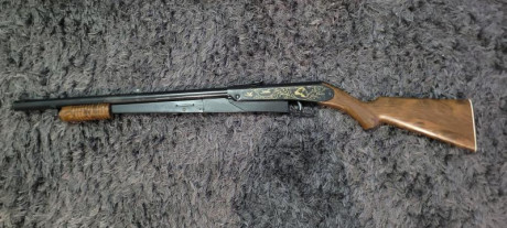 Carabina idal para inicial a los mas pequeños en el mundo del aire comprimido diseñada en Arkansas en1885 00