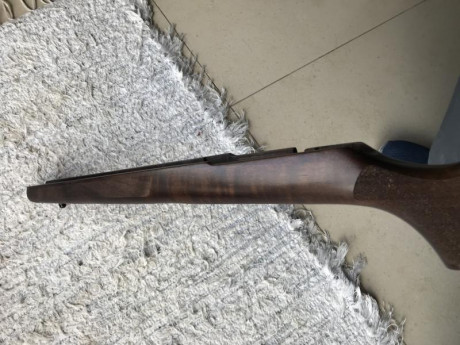 Se ofrece una culata de madera de nogal lacada  Nueva, de una CZ 457 Varmint , le vale para cualquier 02