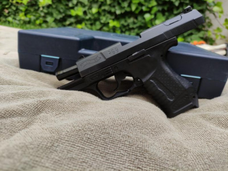 Buenos días.

Por cambio de destino, vendo pistola Walther P99 AS.
El arma está nueva, ya que no habrá 02