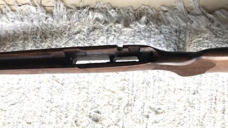 Se ofrece una culata de madera de nogal lacada  Nueva, de una CZ 457 Varmint , le vale para cualquier 11