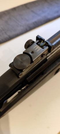 Buenas, quiero sacar del cajón este Gamo Whisper de 5.5mm en sintético con muelle de 24J. Funciona genial, 12