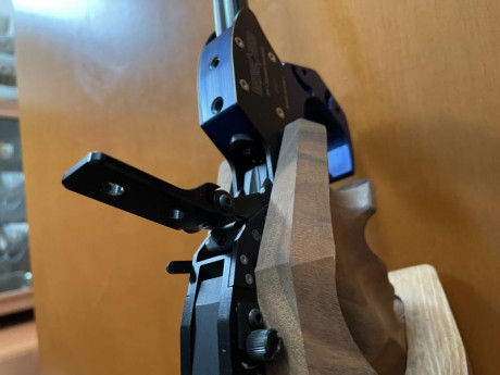 Estimados amigos, por motivos de salud vendo dos pistolas libres cal. 22LR para disparar a 50m (ex modalidad 22