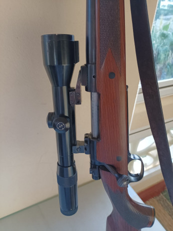 Buenas a todos

Un amigo me pide que ponga este anuncio.

A la venta rifle marca Winchester, Modelo 70, 11