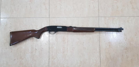 En venta carabina marca Winchester , modelo 290 , calibre 22 , semiautomática.
200 € más portes si se 00