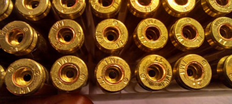 Vainas imi calibre 223 (sin marcajes de calibre) con CERO USOS. ideales para reconvertir a 222 o 300 Blackout. 02
