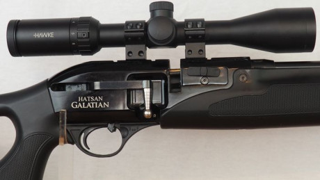 Se vende carabina Hatsan Galatian, cal. 5,5, impecable, con muchos extras.
650€
nevesmeister@gmail.com 02