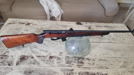Hola vendo mi carabina Toz 99 del calibre 22lr prácticamente nueva por cambiar a otro modelo.Un solo cargador.Precio 01