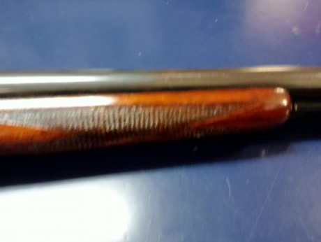 Se vende, por exceso de armas, una escopeta de la maravillosa marca Ignacio Ugartechea ,modelo Milano, 02