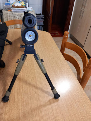 Hola, vendo SPA  P10, cal 5.5, regulada, deposito de  Titanio, con un visor 6-24x50, dos cargadores y 01