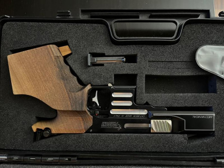 Se vende pistola pardini sp 22, mecanica, rapid fire.
Tiene cacha anatómica nill de talla L y cacha de 02