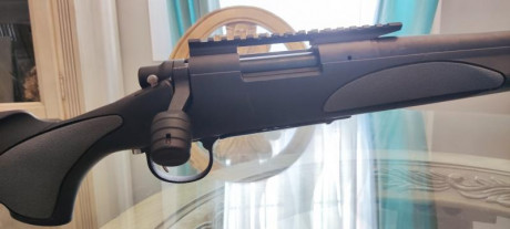 Se trata de un SPS VARMINT en 308 W. que no tiene ni 100 disparos hechos y cuenta con los siguientes extras:

- 00
