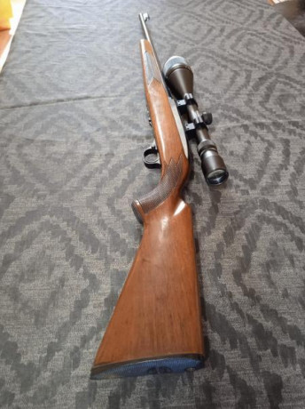 Un amigo vende la siguiente carabina

- Winchester modelo 490 made in Canadá, calibre 22, con visor de 01