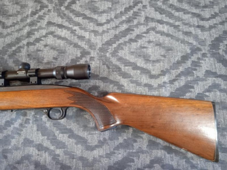 Un amigo vende la siguiente carabina

- Winchester modelo 490 made in Canadá, calibre 22, con visor de 12