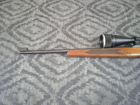 Un amigo vende la siguiente carabina

- Winchester modelo 490 made in Canadá, calibre 22, con visor de 10