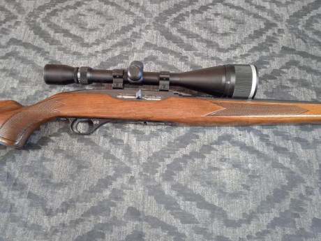 Un amigo vende la siguiente carabina

- Winchester modelo 490 made in Canadá, calibre 22, con visor de 22