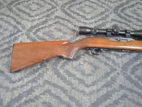 Un amigo vende la siguiente carabina

- Winchester modelo 490 made in Canadá, calibre 22, con visor de 21