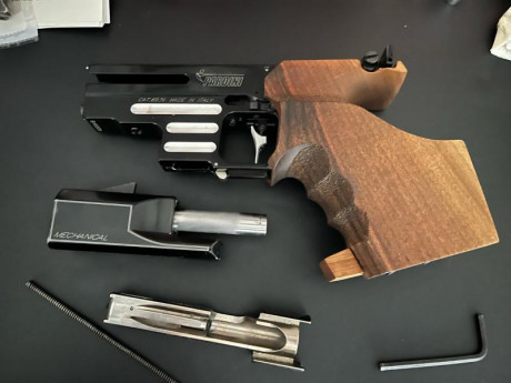 Se vende pistola pardini sp 22, mecanica, rapid fire.
Tiene cacha anatómica nill de talla L y cacha de 172