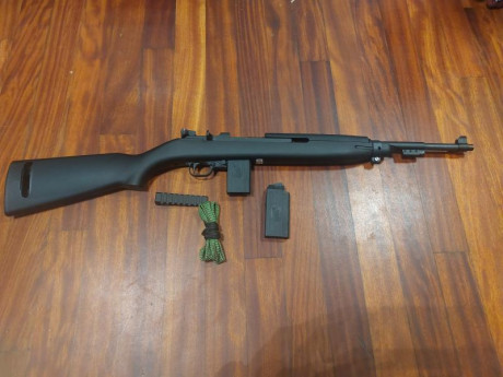 Chiappa M1 del 22lr comprada hace un mes por capricho en Arminse.  
He ido a tirar con ella 2 días contados 02