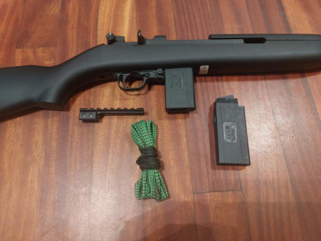 Chiappa M1 del 22lr comprada hace un mes por capricho en Arminse.  
He ido a tirar con ella 2 días contados 01